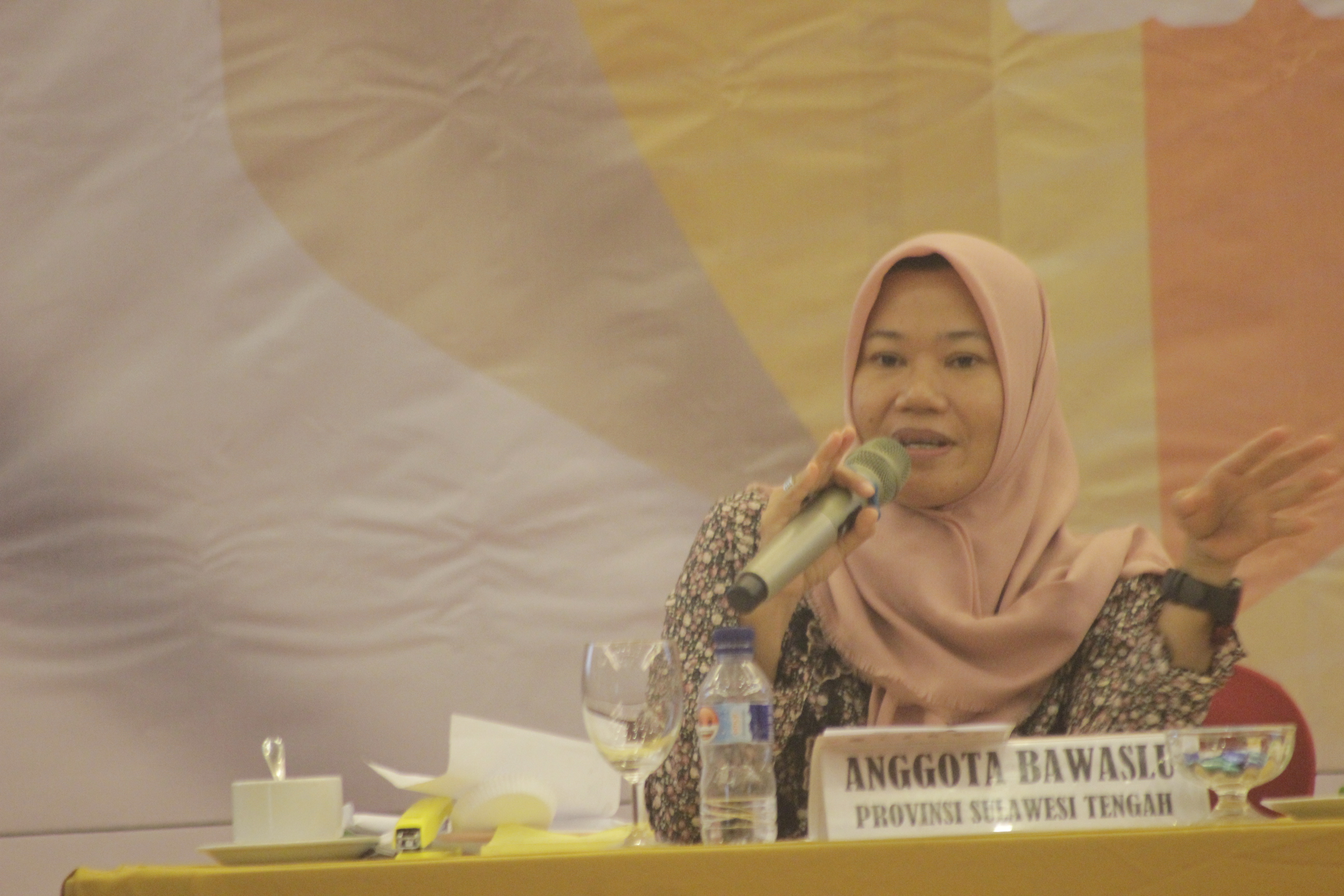 Pilgub Sulteng Berpotensi Tanpa Pengawasan dari Bawaslu
